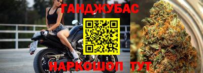 шишки Можайск